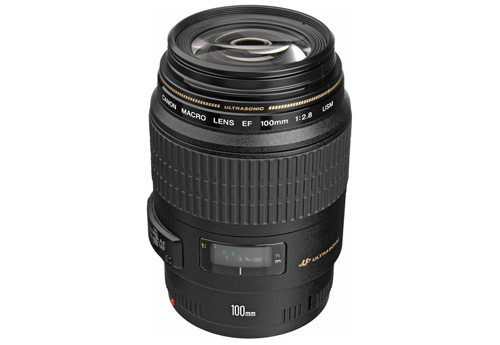 Sony E PZ 18-110mm Lens_Portfolio